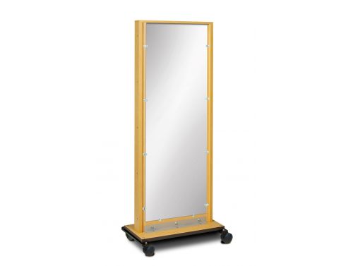 FORTRESS MOBILE POSTURE MIRROR