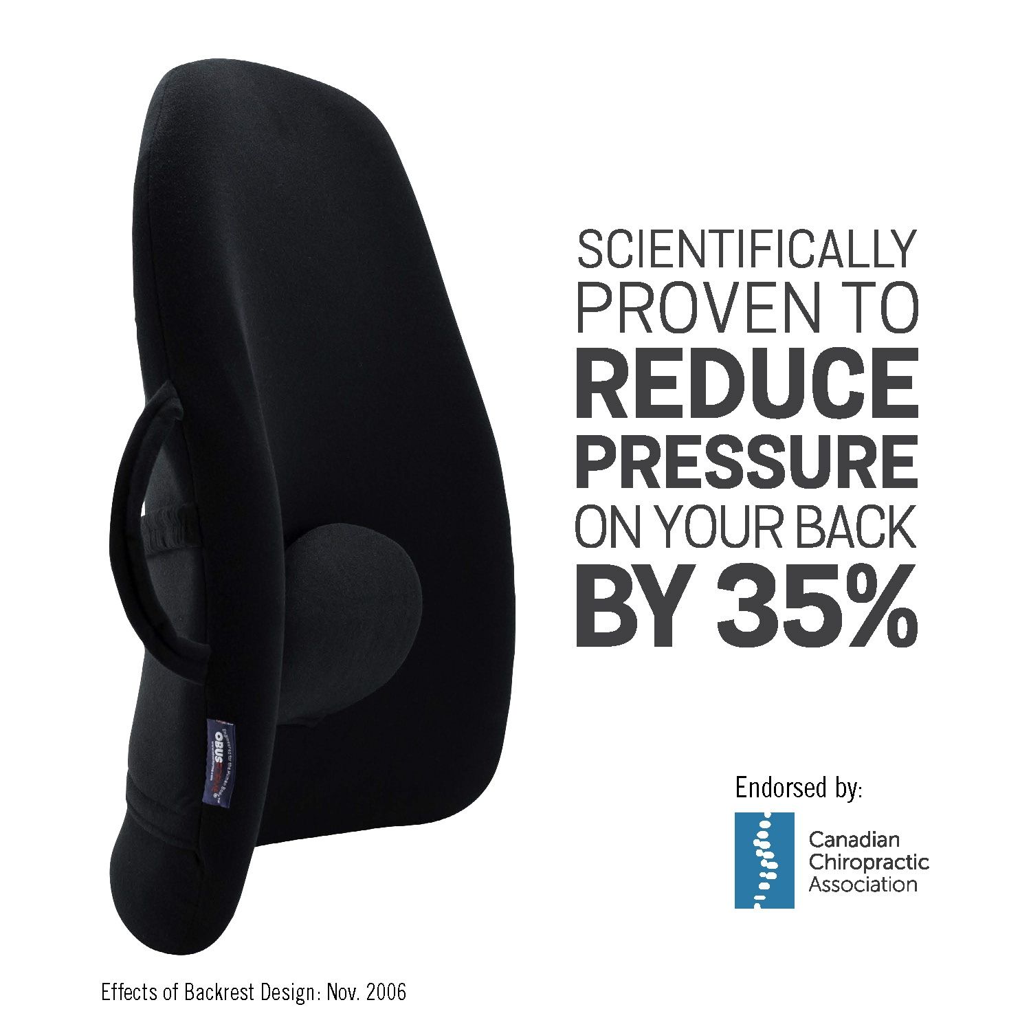 OBUSFORME LOWBACK SUPPORT CUSHION photo