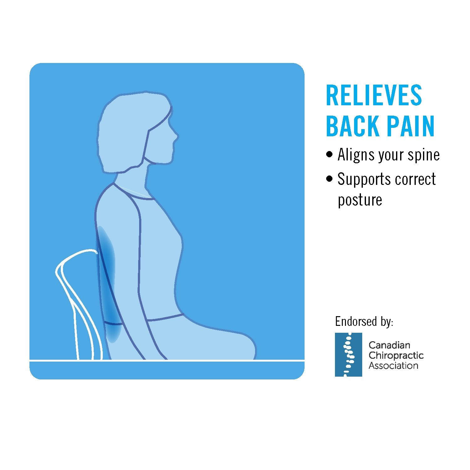 OBUSFORME LOWBACK SUPPORT CUSHION photo