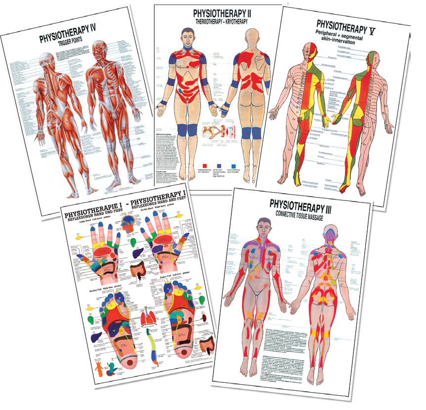 BODYLINE PHYSIOTHERAPY CHARTS photo