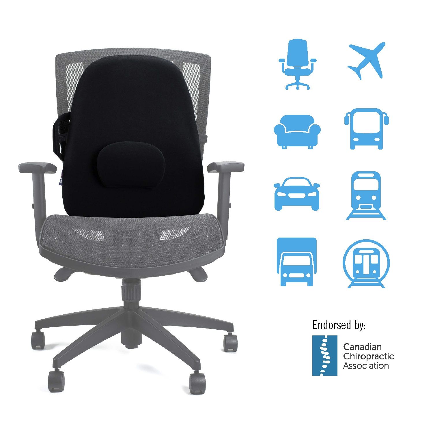 OBUSFORME LOWBACK SUPPORT CUSHION photo
