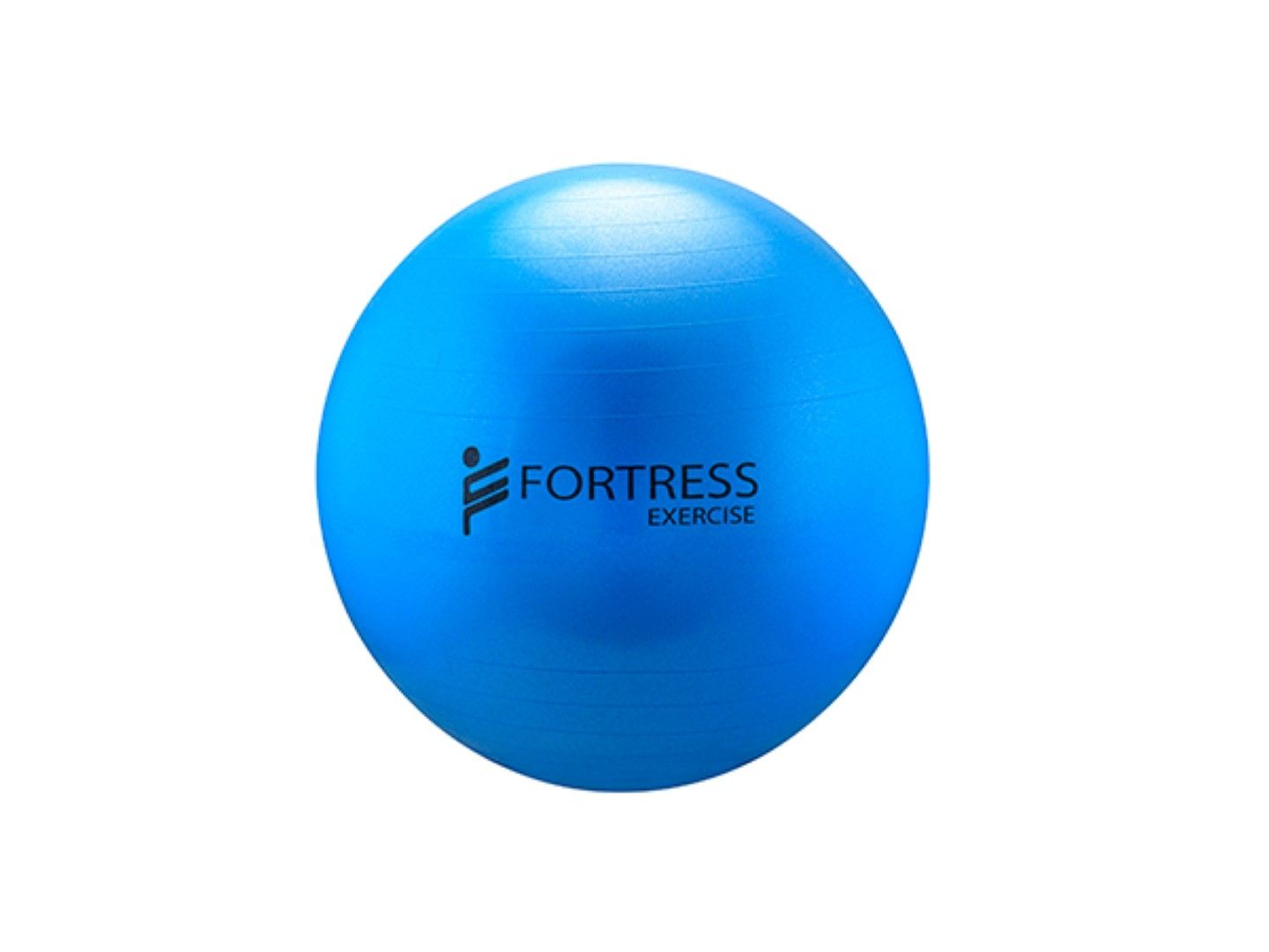 FORTRESS RAINBOW REHAB ANTI-BURST GYM / FITNESS BALLS photo