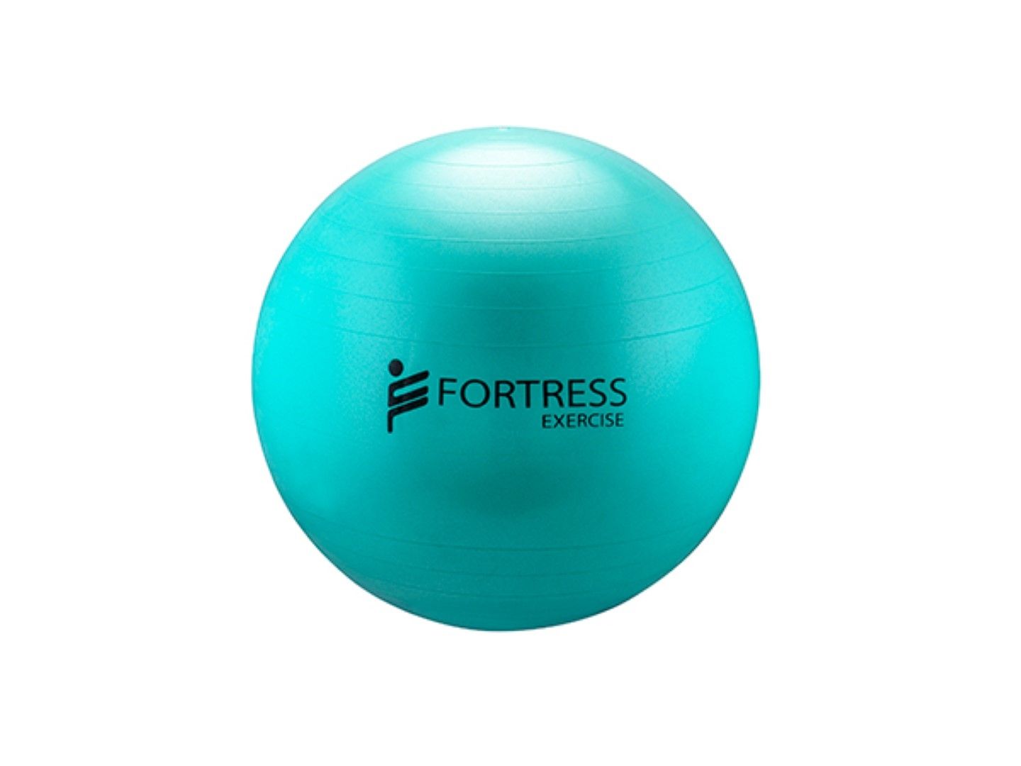 FORTRESS RAINBOW REHAB ANTI-BURST GYM / FITNESS BALLS photo