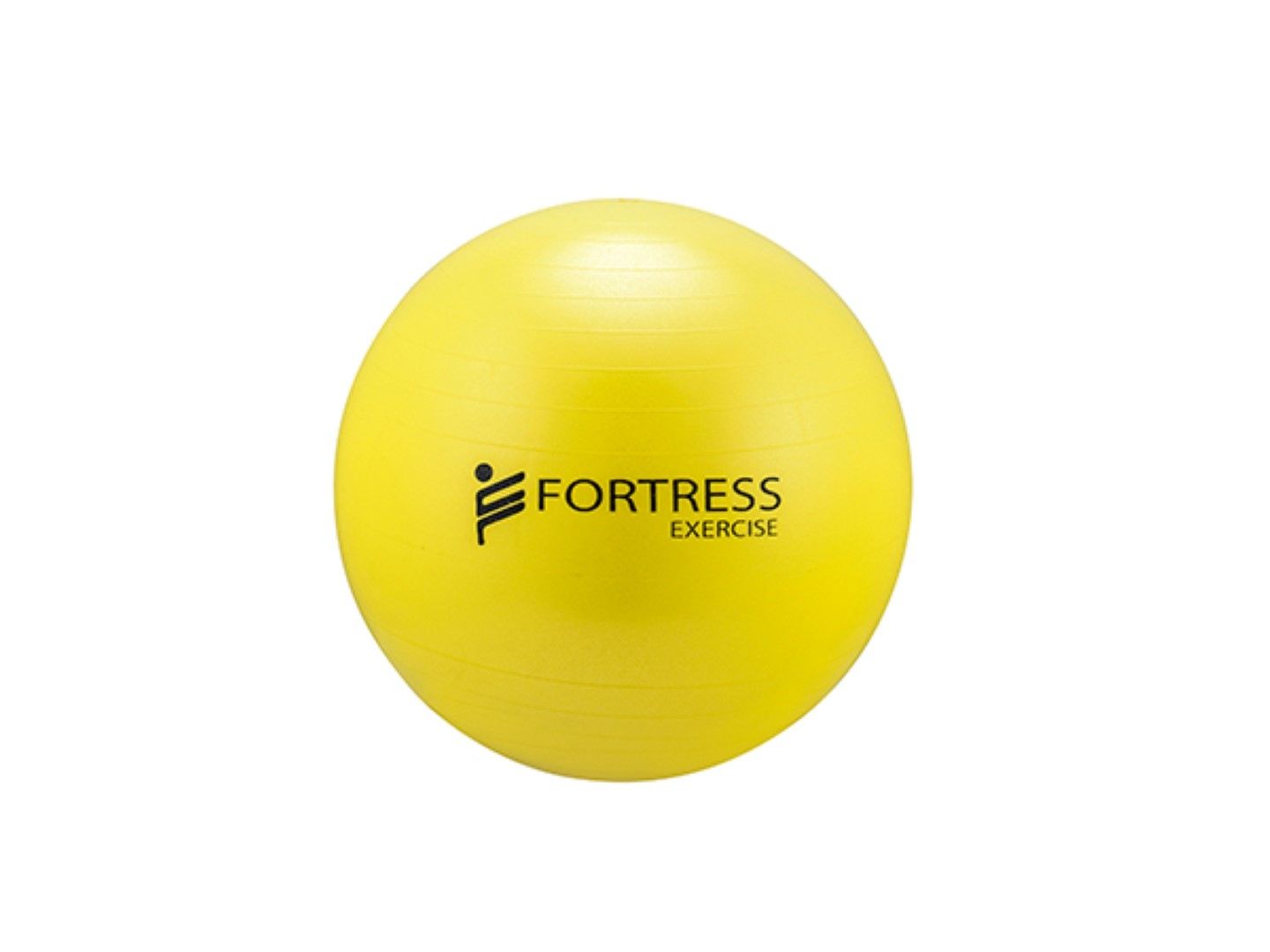 FORTRESS RAINBOW REHAB ANTI-BURST GYM / FITNESS BALLS photo