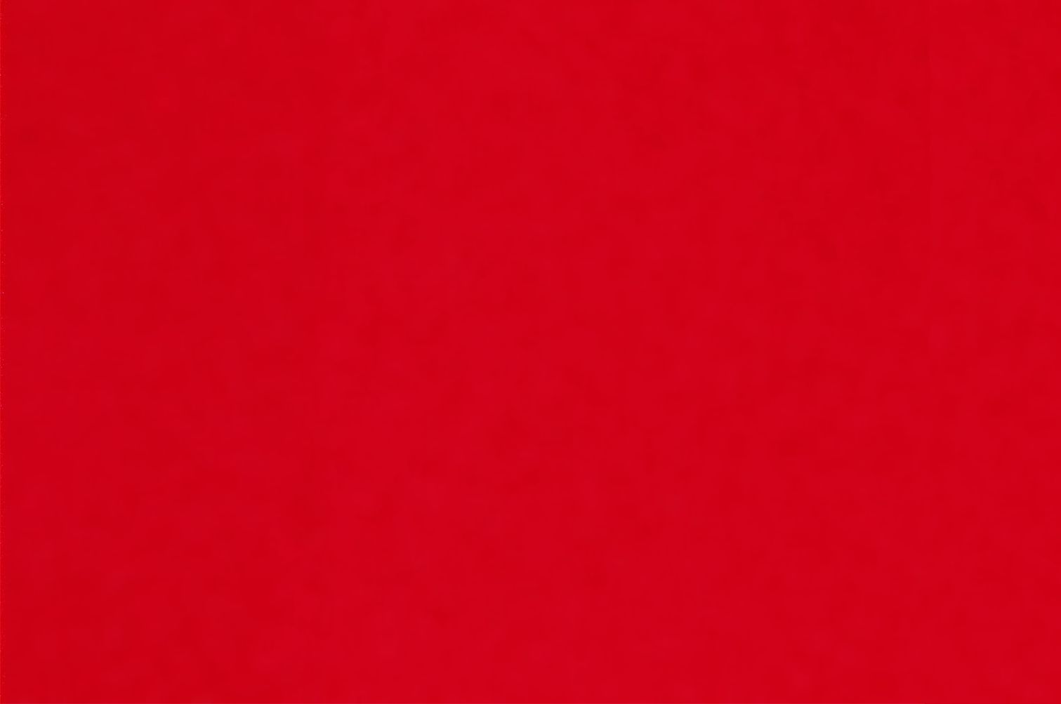 NORA AERO SORB M / RED photo