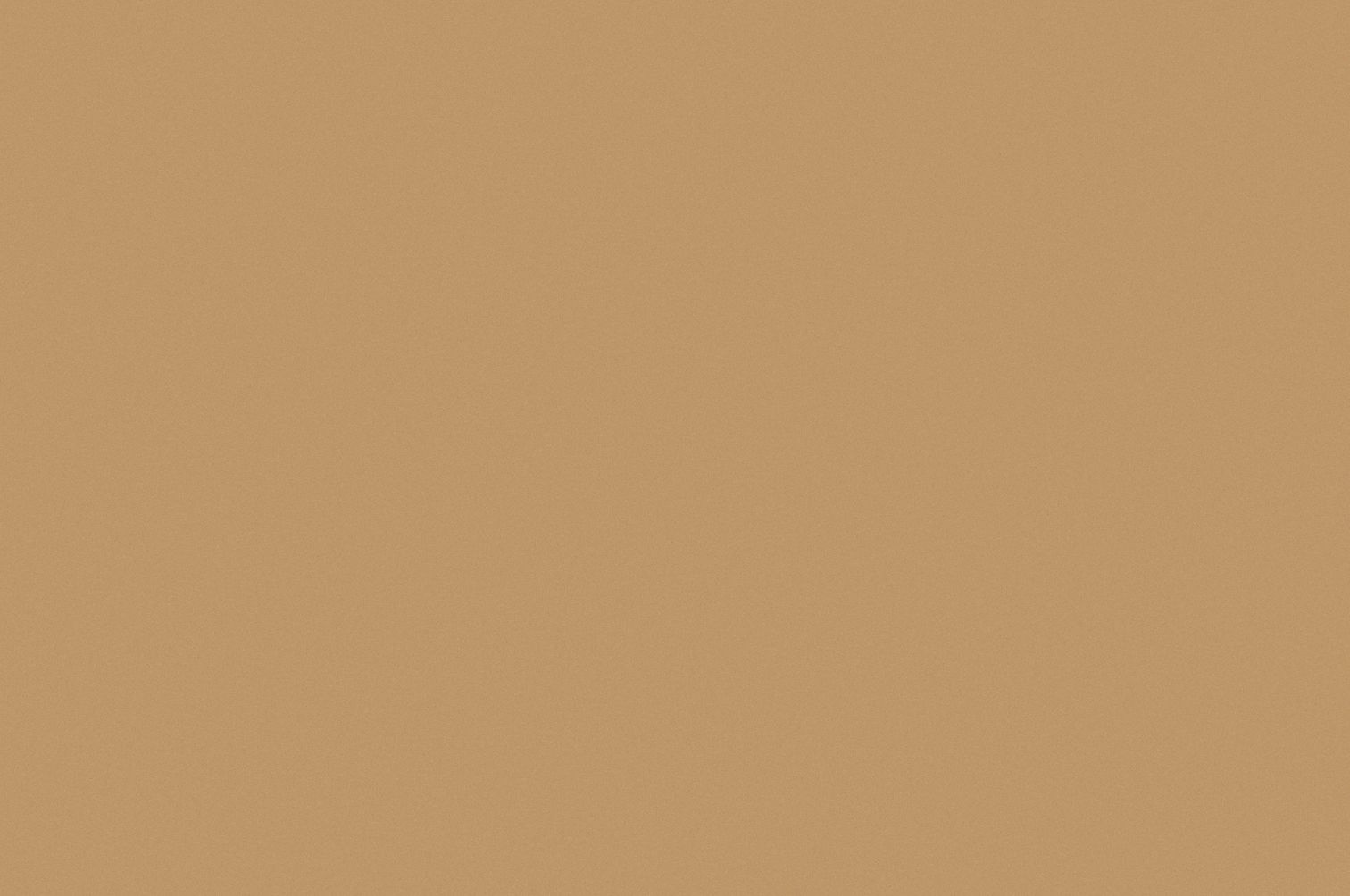 NORA LUNAIRMED SMOOTH / BEIGE photo