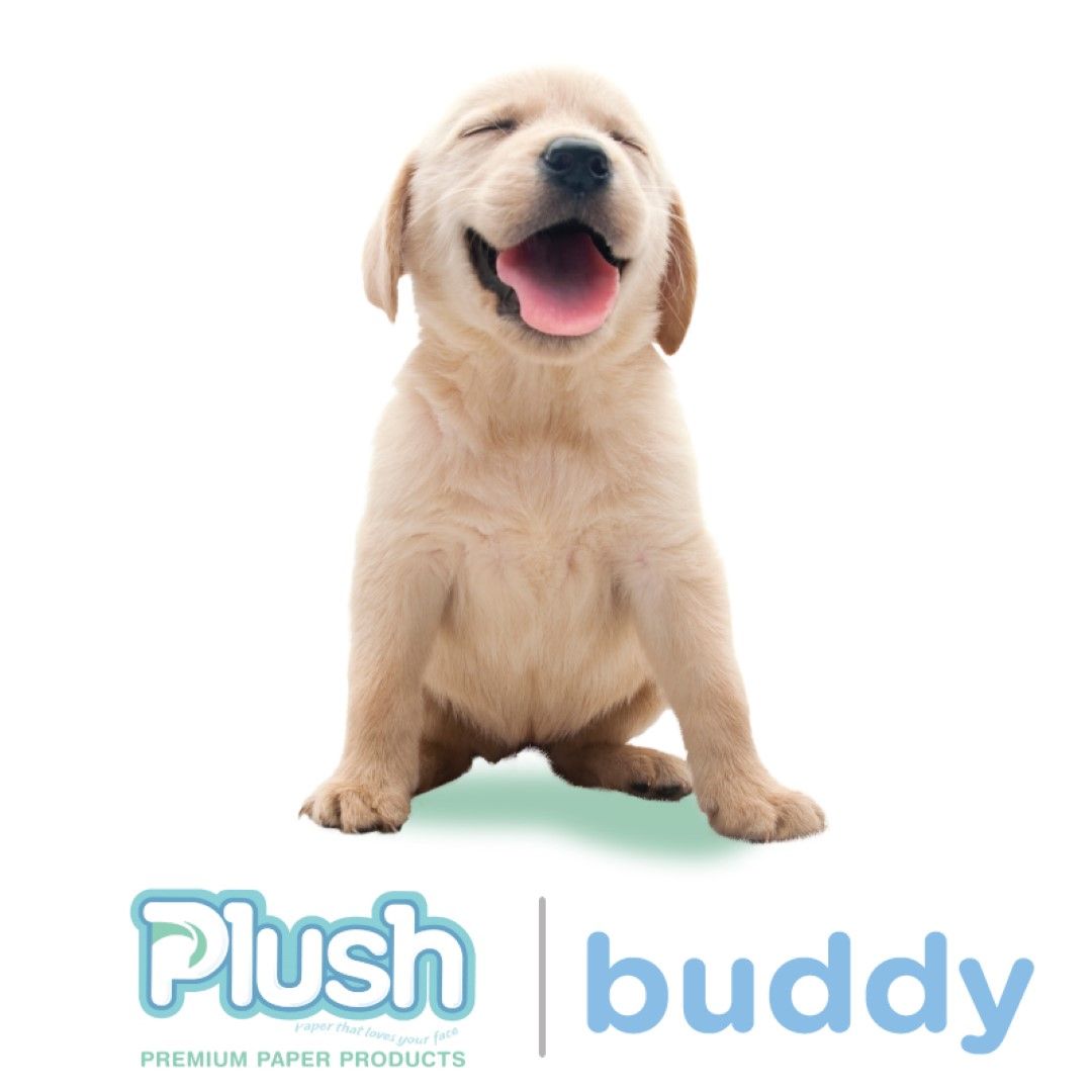 PLUSH PAPER / BUDDY FACE PADS photo