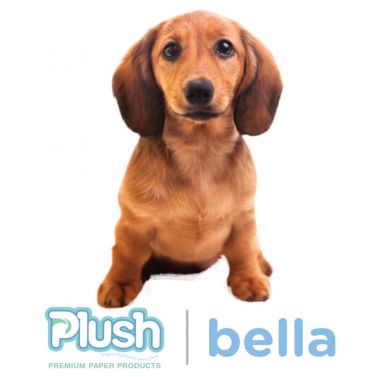 PLUSH PAPER / BELLA FACE PADS / PACK OF 1000